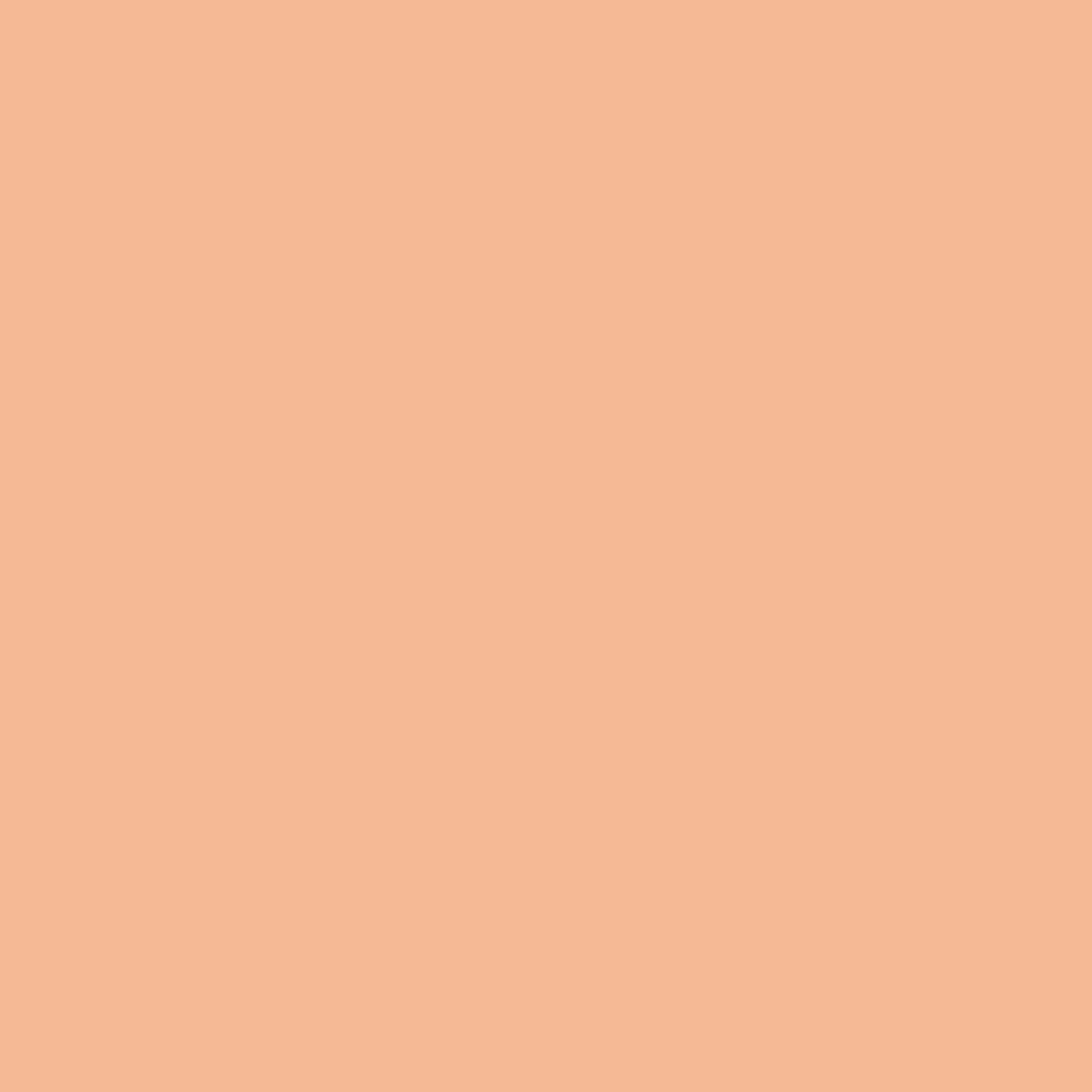 Interior + Exterior Premium House Paint - Image 232