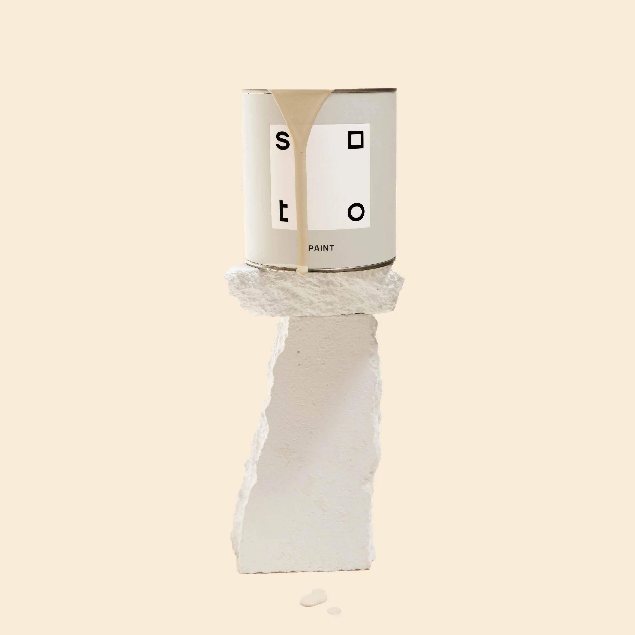 Interior + Exterior Premium House Paint - Image 6